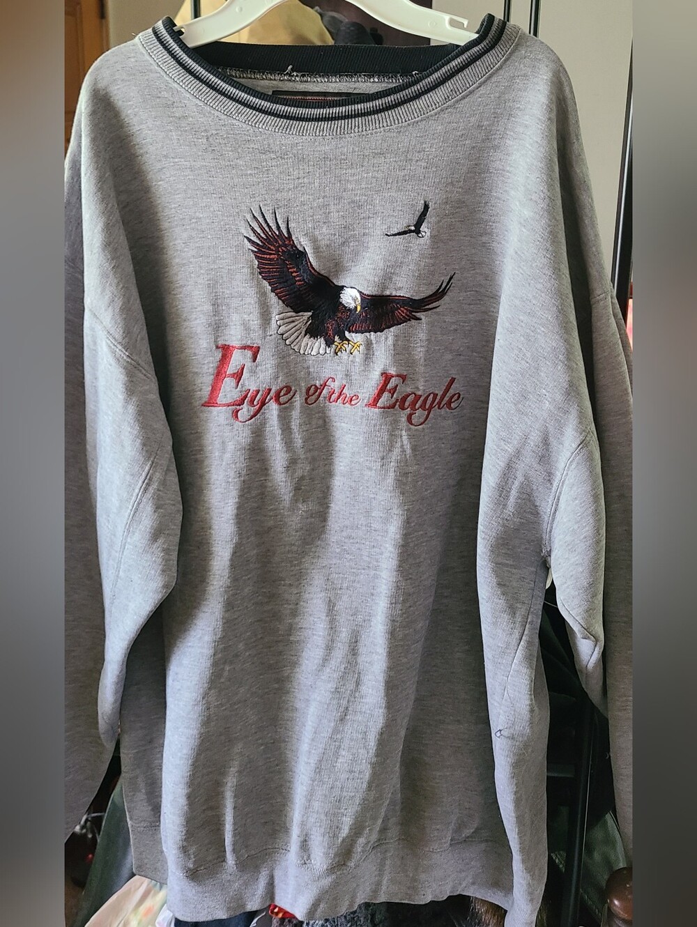 Vintage Gray Embroidered 'Eye of the Eagle' Men's Crewneck Sweatshirt